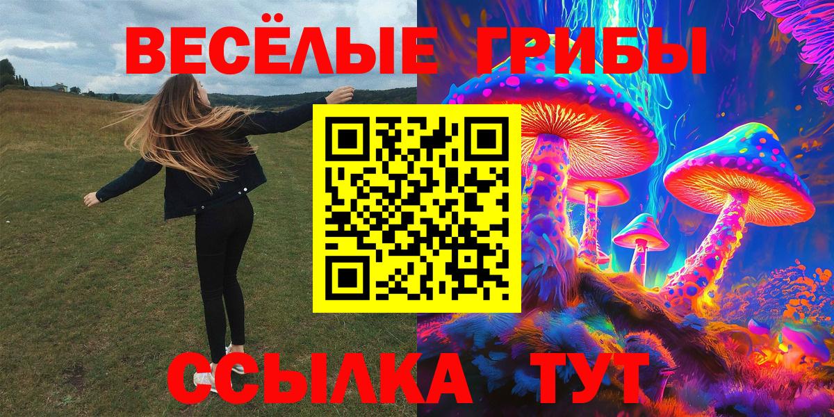 Псилоцибиновые грибы MAGIC MUSHROOMS Богородицк